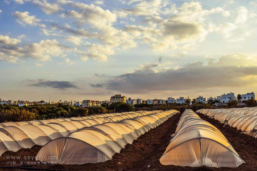温室大棚也会产生有害气体吗？