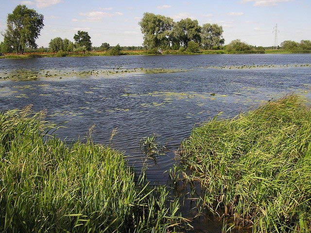 浮标水质监测站：寒潮下的鱼塘如何减少损失？