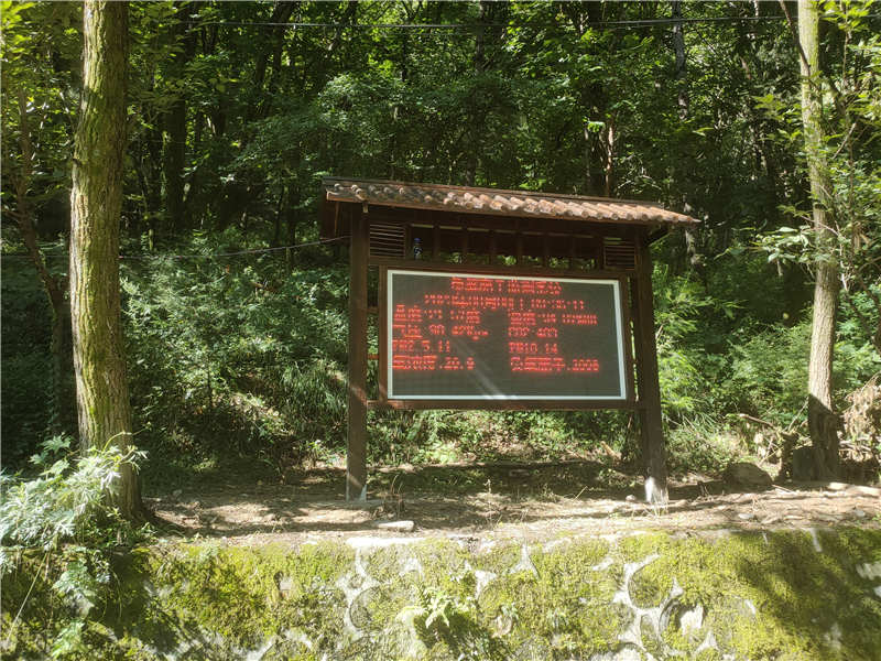 负氧离子 内页.jpg